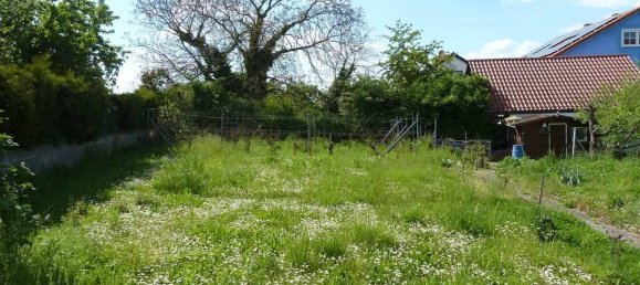 4 bedrooms House in Hasberge, Germany No. 187427 16