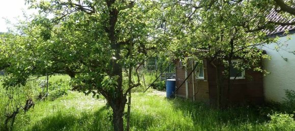 4 bedrooms House in Hasberge, Germany No. 187427 14