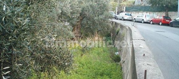 Terrain à Reggio Calabria, Italy 800m² No. 283484 8