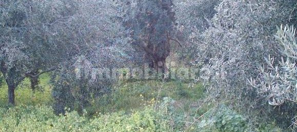 Terrain à Reggio Calabria, Italy 800m² No. 283484 10