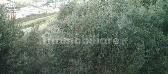 Terrain à Reggio Calabria, Italy 800m² No. 283484 2