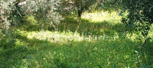 Terrain à Reggio Calabria, Italy 800m² No. 283484 4