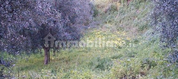 Terrain à Reggio Calabria, Italy 800m² No. 283484 7