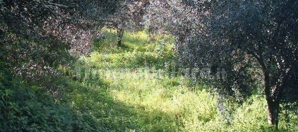 Terrain à Reggio Calabria, Italy 800m² No. 283484 12