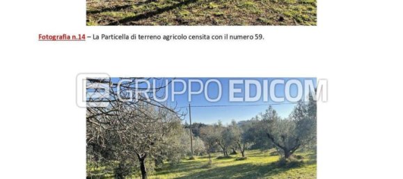 3 rooms Apartment in Salisano, Italy No. 267621 7