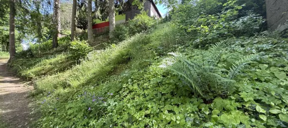 8-salle Maison de ville à Hof, Germany No. 321443 5