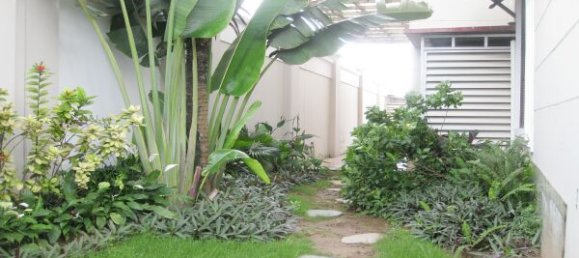 5 Schlafzimmer Villa in Tay Ho, Vietnam, Nr. 6349 14