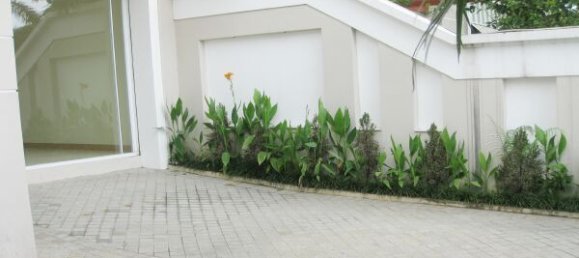 5 Schlafzimmer Villa in Tay Ho, Vietnam, Nr. 6349 4