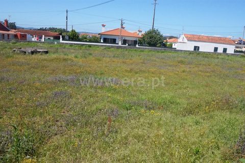 Terrain à Barcelos, Portugal No. 202276