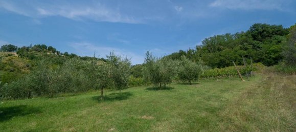 3 Schlafzimmer Haus in Montiano, Italy, Nr. 303966 21