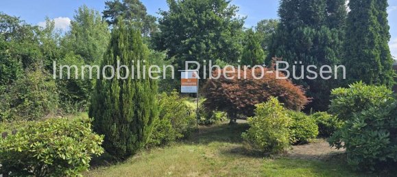 Бунгало с 3 спальнями в Фирзен, Германия № 236602 4