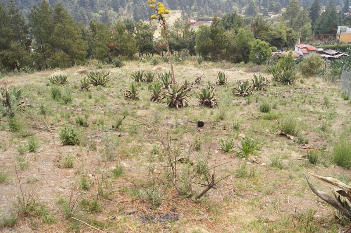  قطعة أرض في Lerma, Mexico رقم 204951