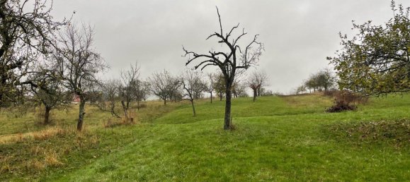 Grundstück in Wetteraukreis, Germany, Nr. 345339 5