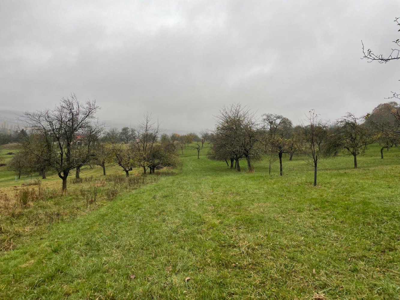 Terrain à Wetteraukreis, Germany No. 345339