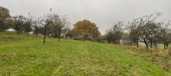 Grundstück in Wetteraukreis, Germany, Nr. 345339 4