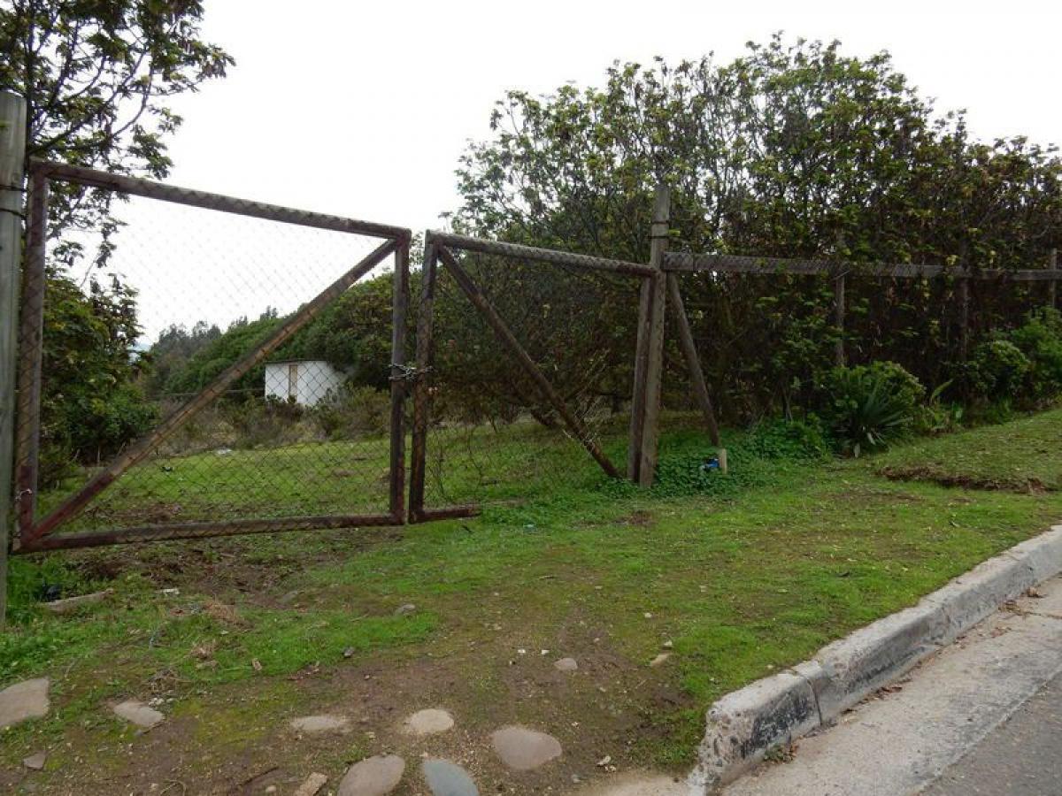 Terrain à Valparaiso, Chile No. 1183