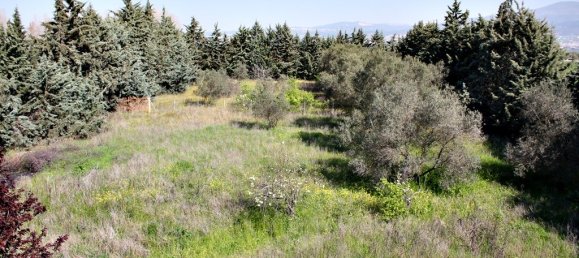 4 غرف نوم فيلا في Thermi, Greece رقم 5772 30