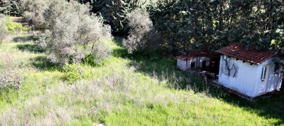 4 غرف نوم فيلا في Thermi, Greece رقم 5772 2