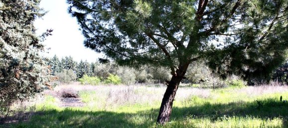4 غرف نوم فيلا في Thermi, Greece رقم 5772 8