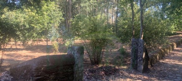 Grundstück in Seixas, Portugal 1934m², Nr. 56309 2