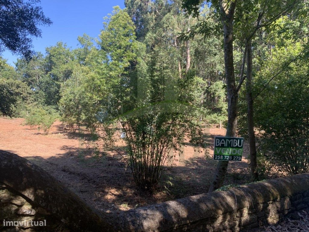 Grundstück in Seixas, Portugal 1934m², Nr. 56309