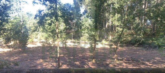 Grundstück in Seixas, Portugal 1934m², Nr. 56309 6