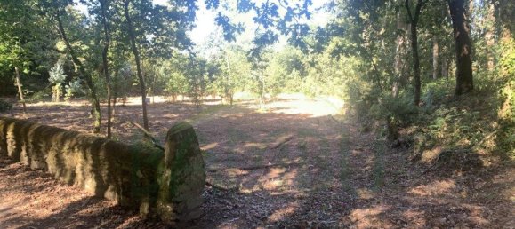 Grundstück in Seixas, Portugal 1934m², Nr. 56309 8