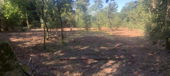 Grundstück in Seixas, Portugal 1934m², Nr. 56309 5