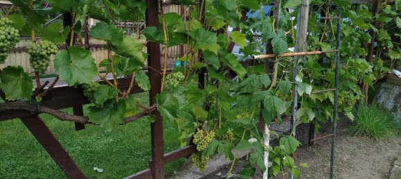  Land in Ostprignitz-Ruppin, Germany No. 348828 9