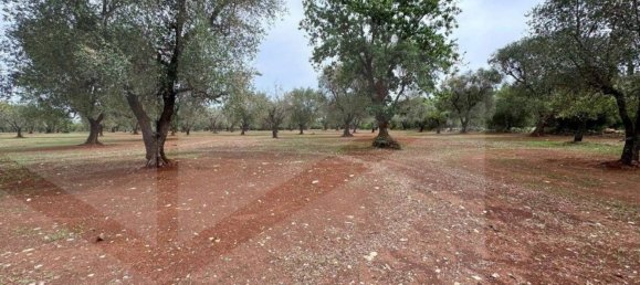 Terrain à Ostuni, Italy 21120m² No. 28010 2