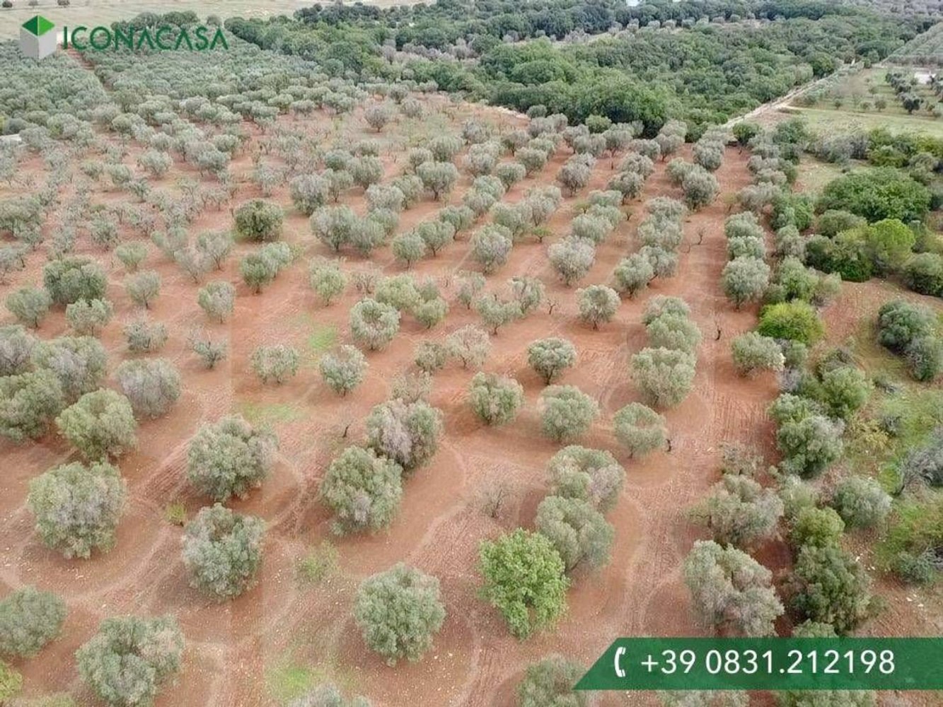 Terrain à Ostuni, Italy 21120m² No. 28010