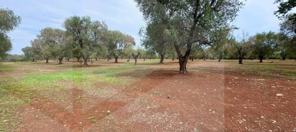Terrain à Ostuni, Italy 21120m² No. 28010 3