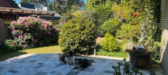 Bungalow T3 em Emsland, Germany N.º 229247 12