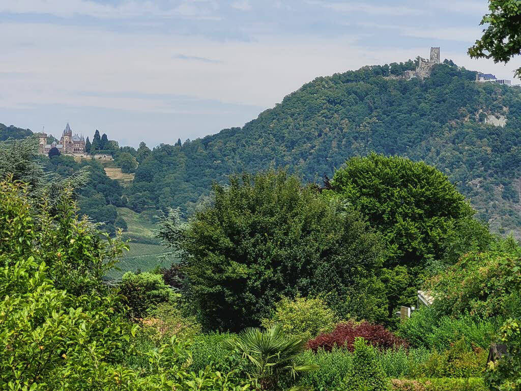 Terrain à Bonn, Germany No. 353877