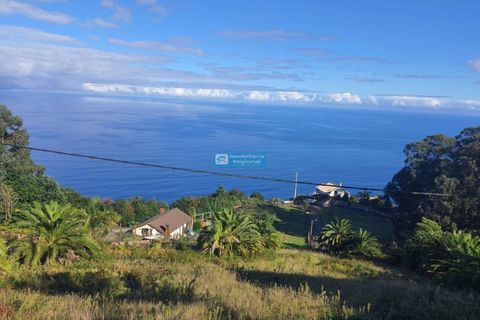 Terrain à Santana, Portugal No. 232145