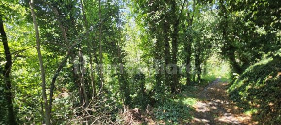 4 bedrooms House in Mombello Monferrato, Italy No. 268619 7