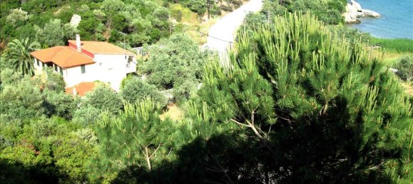 3 bedrooms Commercial property in Chalkidiki, Greece No. 7694 7