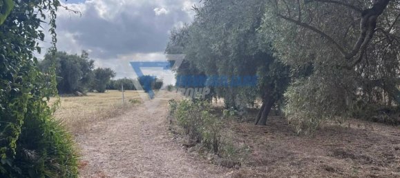 1 غرف نوم فيلا في Syracuse, Italy رقم 282914 17