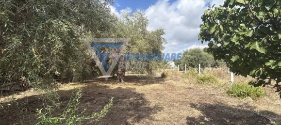 1 غرف نوم فيلا في Syracuse, Italy رقم 282914 5