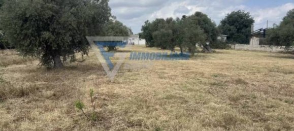 1 غرف نوم فيلا في Syracuse, Italy رقم 282914 34