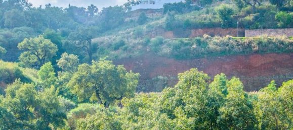 3 Schlafzimmer Villa in Marbella Del Este, Spain, Nr. 2952 16