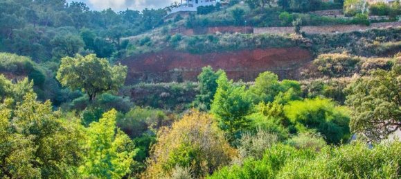 3 Schlafzimmer Villa in Marbella Del Este, Spain, Nr. 2952 20