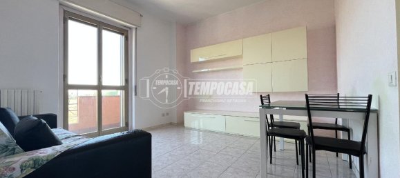 2 rooms Apartment in Rozzano, Italy No. 9227 5