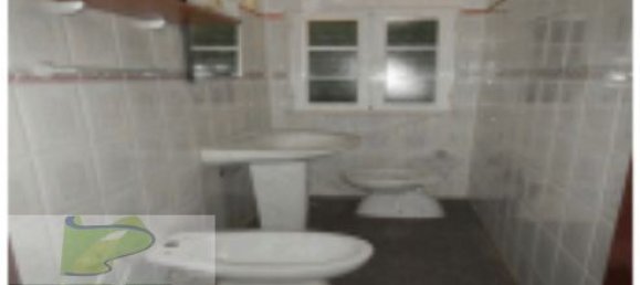 4 غرف نوم منزل في Santo Aleixo, Portugal رقم 12928 5