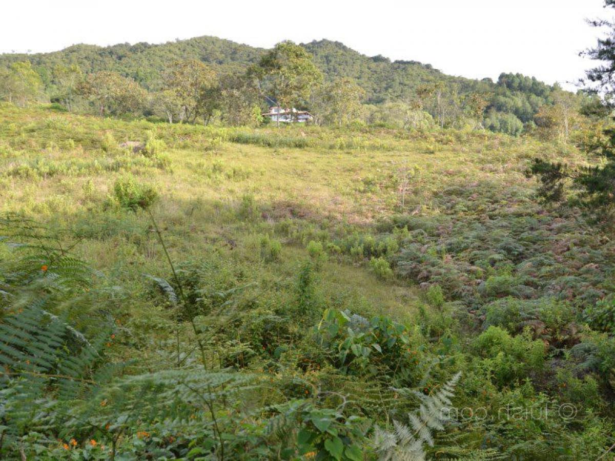 Земельный участок в Антьокия, Колумбия № 187