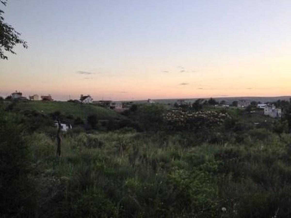  Land in Cordoba, Argentina No. 37509