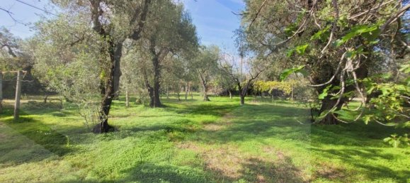 15 rooms Apartment in Vieste, Italy No. 22118 24