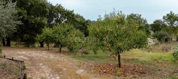 4 غرف نوم فيلا في Tomar, Portugal رقم 142941 27