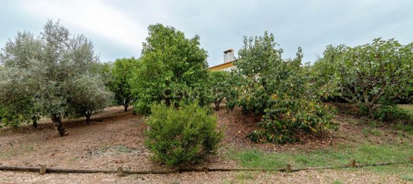 4 غرف نوم فيلا في Tomar, Portugal رقم 142941 29