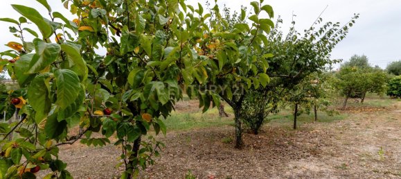 4 غرف نوم فيلا في Tomar, Portugal رقم 142941 28